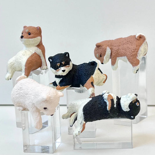 Sitting Shiba Dogs Vol.3