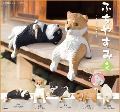 Sitting Shiba Dogs Vol.3