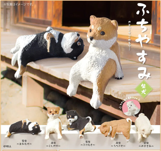 Sitting Shiba Dogs Vol.3